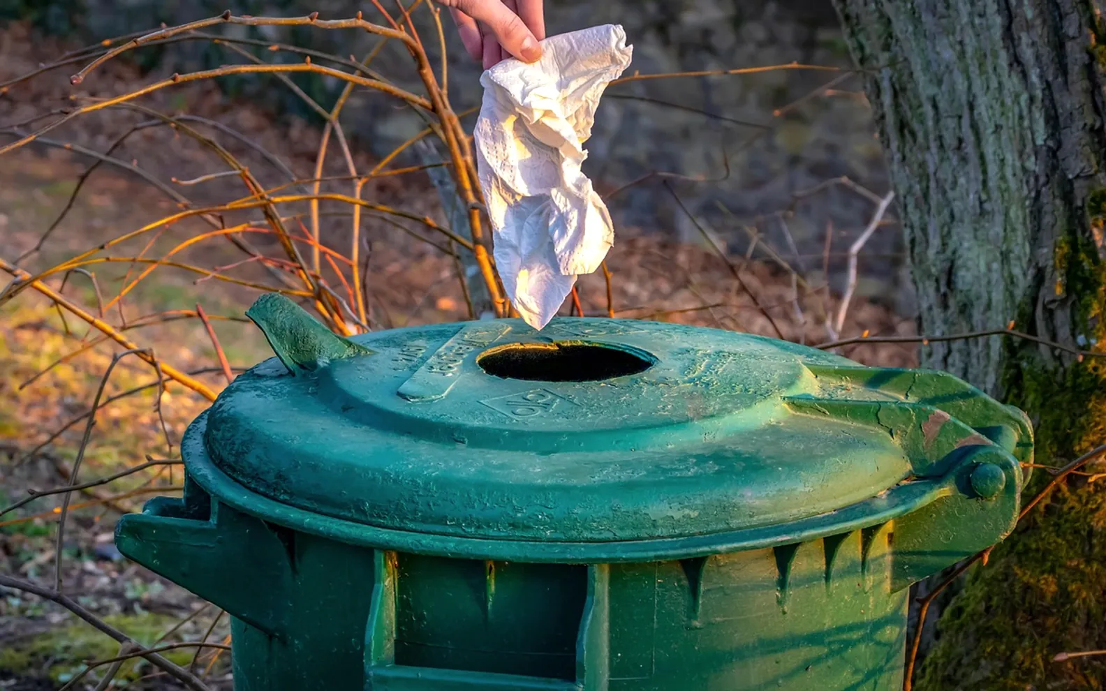 Garbage, garbage can and waste