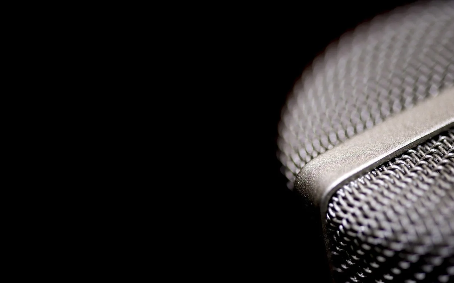 Microphone, vocal and voice