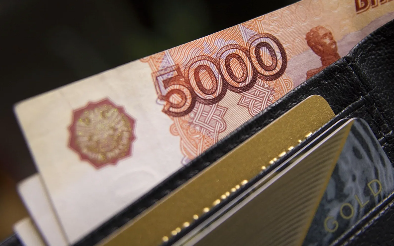 Wallet, rubles and ruble