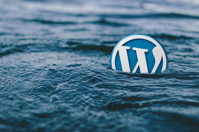 WordPress Recovery – When do you need it?